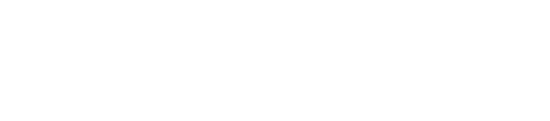 Lifestyle Robotics